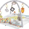 Fisher Price Perfect Sense Jimnastik Merkezi Deluxe Oyun Halısı