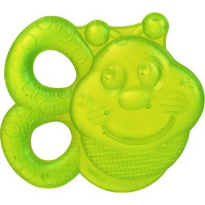 Playgro Sulu Dişlik Arı 2`li