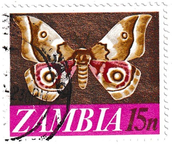 Zambiya (ZAMBIA) 1971 Büyük Güve Pulu